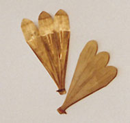 3 leaf Hohos